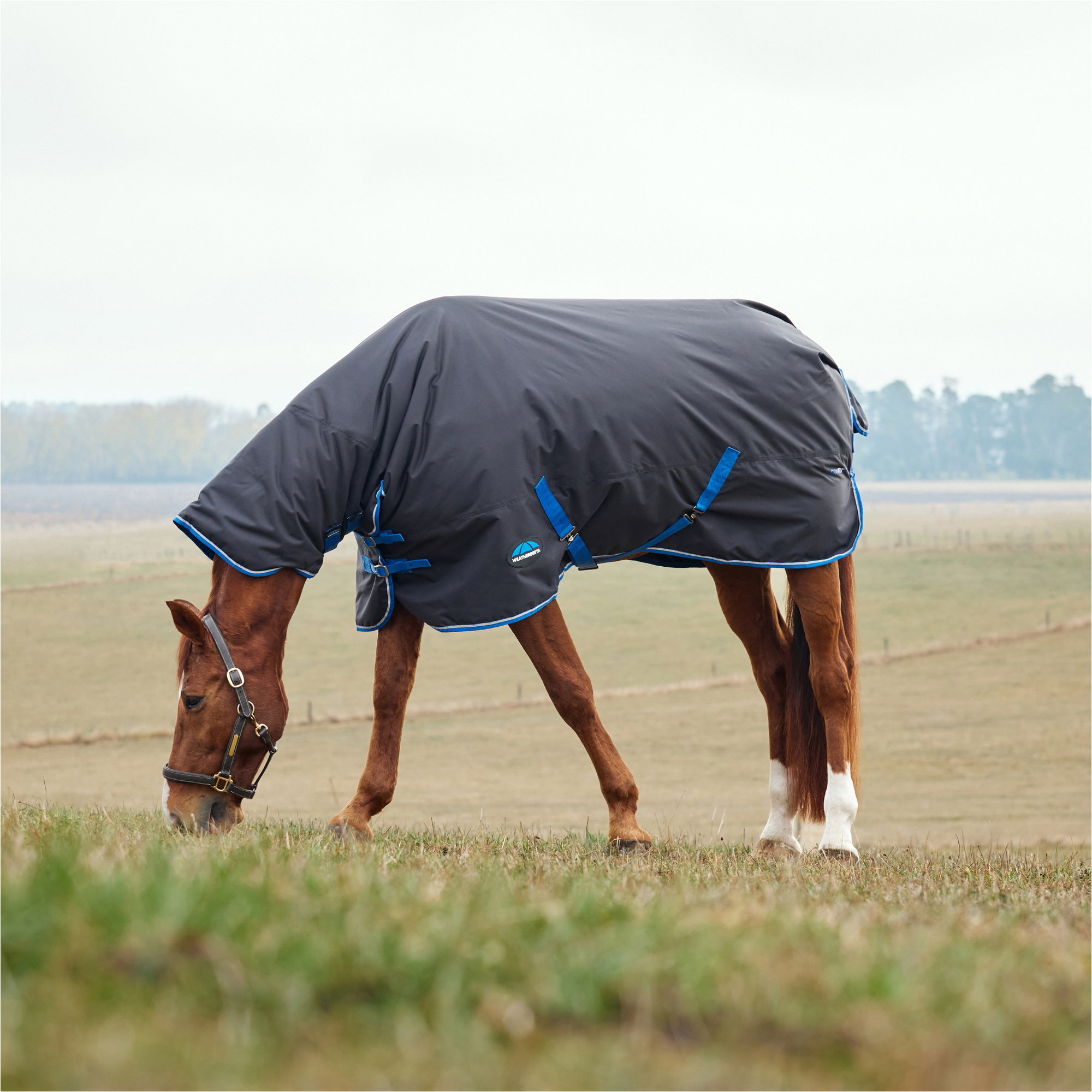 2025 Weatherbeeta Comfitec Tyro Turnout Combo Neck 220G 1029034 - Black